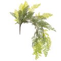 Floristik24 Künstlicher Farnzweig aus Kunststoff Grün 80cm für Innenbereich