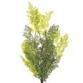 Künstlicher Farnzweig aus Kunststoff Grün 80cm für Innenbereich | Floristik24.at