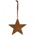 Floristik24 Weihnachtsanhänger Stern Metallstern Rost Optik H13,5cm
