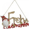 Floristik24 Holz Schriftzug Frohe Weihnachten Fensterdeko Wichtel 2St