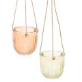 Floristik24 Hängetopf Glas 2er-Set Grün und Braun Retro-Muster Ø14 cm