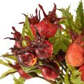 Hagebutten Deko Rot Hagebuttenzweige Künstlich 48cm 3St | Floristik24.at