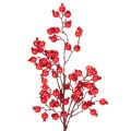 Floristik24 Künstlicher Hagebuttenzweig mit glänzenden roten Beeren 62 cm für den Innenbereich