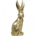 Floristik24 Deko Hase groß Osterhase sitzend Gold 22×17×51,5cm