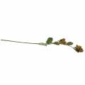 Haselnusszweig Grün/Braun 84cm | Floristik24.at