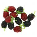 Floristik24 Himbeeren-Mix Rot/Schwarz 4cm x 2cm 36St