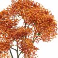 Floristik24 Holunder Orange Künstlicher Blütenzweig 52cm 4St