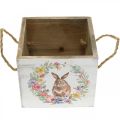 Floristik24 Deko Pflanzgefäß Shabby Holz Weiß Hase Pflanzkasten 12×14×14cm