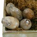Floristik24 Deko Hühner-Ei, Ostereier aus Mangoholz Natur 12St