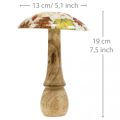 Holzpilz Deko Herbstlaub Weiß, Bunt Herbstdeko Ø13cm H19cm | Floristik24.at
