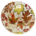Holzpilz Deko Herbstlaub Weiß, Bunt Herbstdeko Ø13cm H19cm | Floristik24.at