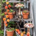 Holzpilz Deko Herbstlaub Weiß, Bunt Herbstdeko Ø13cm H19cm | Floristik24.at