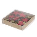 Floristik24 Holzsterne 3-5cm Natur/Rot 24St