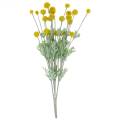 Floristik24 Trommelstöckchen Gelb Künstliche Craspedia Seidenblumen