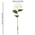 Hortensie künstlich langstielig 60cm cremefarbene Blüte | Floristik24.at