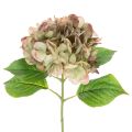 Floristik24 Künstliche Hortensie aus Textil und Kunststoff mit 46 cm Länge in Grün-Rosa