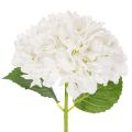 Floristik24 Künstliche Hortensie mit langem Stiel 48cm Weiß für Wohnraumdekoration