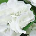 Floristik24 Hortensie im Blumentopf Künstlich Weiß 35cm