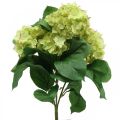 Hortensie künstlich Grün Kunstblume Strauß 5 Blüten 42cm