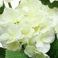 Floristik24 Hortensie künstlich Weiß Seidenblumen Strauß Sommerdeko 42cm