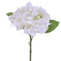 Floristik24 Hortensien Künstlich Weiß Kunstblumen Real Touch Blumen 33cm