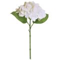 Floristik24 Hortensien Künstlich Weiß Kunstblumen Real Touch Blumen 33cm