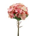 Floristik24 Hortensien künstlich Rispenhortensie Rosa Lachs 35cm 3St