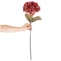 Künstlicher Hortensienzweig aus Seidenstoff, Rot, 74 cm, für Innenräume | Floristik24.at