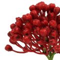 Floristik24 Hortensienknospenpick 22cm Rot 12St