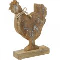 Floristik24 Huhn aus Holz, Frühlingsdeko, Osterfigur Natur, Weiß gewaschen H26cm