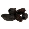 Floristik24 Kakaofrucht Natur 10-18cm 15St