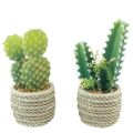 Floristik24 Kaktus im Topf Kaktus künstlich Sortiert 28cm 2St