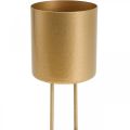 Floristik24 Kerzenhalter zum Stecken Gold Teelichthalter Metall Ø5cm 4St
