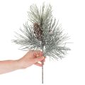 Künstlicher Kiefernzweig mit Zapfen und Schneeeffekt 40cm Grün-Braun | Floristik24.at