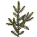 Floristik24 Künstliche Tannenzweige 45 cm grün im 3er-Set für Dekoration und Gestecke