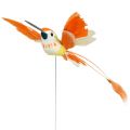 Floristik24 Kolibri am Draht zum Stecken Pink, Orange 17cm 6St