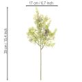 Konifere Kunstzweig mit Zapfen, 39 cm, Grün, 4er-Set, für Tischdekoration | Floristik24.at