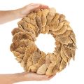 Baumschwamm-Kranz Natur 37 cm für Wand- oder Türdekoration | Floristik24.at