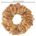 Baumschwamm-Kranz Natur 37 cm für Wand- oder Türdekoration | Floristik24.at