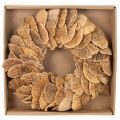 Baumschwamm-Kranz Natur 37 cm