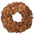 Floristik24 Getrockneter Landlotus-Kranz aus Naturmaterial, 35 cm, braun