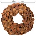 Getrockneter Landlotus-Kranz aus Naturmaterial, 35 cm, braun | Floristik24.at
