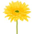 Floristik24 Künstliche Gerbera-Blume aus Kunststoff und Metall, Gelb, 47 cm 6St