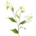 Floristik24 Künstliche Gloriosa Blume Weiß Gelb Blütenzweig 80 cm 3er-Set für Dekoration