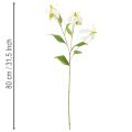 Künstliche Gloriosa Blume Weiß Gelb Blütenzweig 80 cm 3er-Set für Dekoration | Floristik24.at