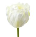 Floristik24 Künstliche Tulpen Weiß-Grün 86cm 3St