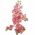 Floristik24 Künstliche Orchideen Deko Kunstblume Orchidee Rosa 71cm