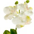 Floristik24 Künstliche Orchideen Kunstblume Orchidee Weiß 20cm