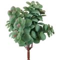 Floristik24 Künstlicher Eukalyptus Kunstpflanzen zum Stecken 18cm 4St