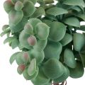 Floristik24 Künstlicher Eukalyptus Kunstpflanzen zum Stecken 18cm 4St